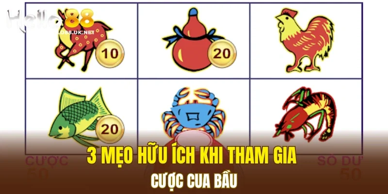 3 mẹo hữu ích khi tham gia cược Cua Bầu
