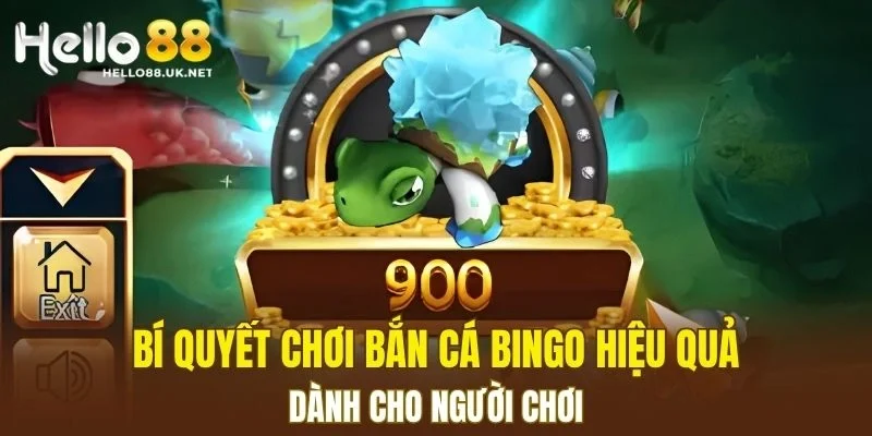 Bí quyết chơi Bắn Cá Bingo hiệu quả dành cho người chơi