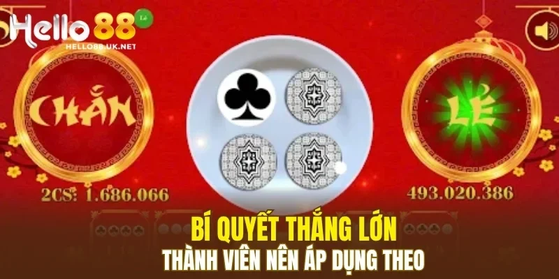 Bí quyết thắng lớn thành viên nên áp dụng theo