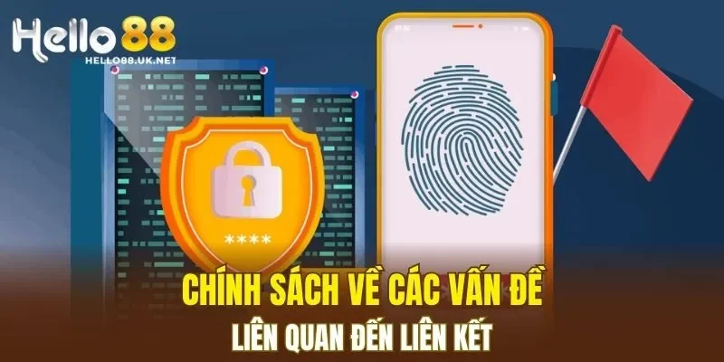 Chính sách về các vấn đề liên quan đến liên kết