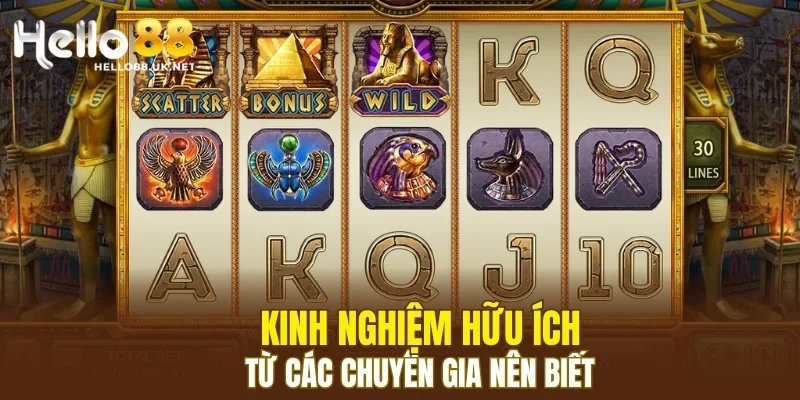 Kinh nghiệm hữu ích từ các chuyên gia nên biết