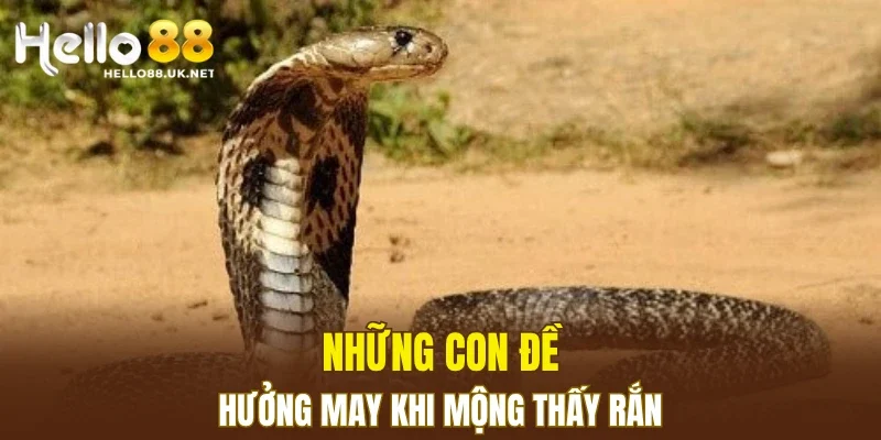Những con đề hưởng may khi mộng thấy rắn