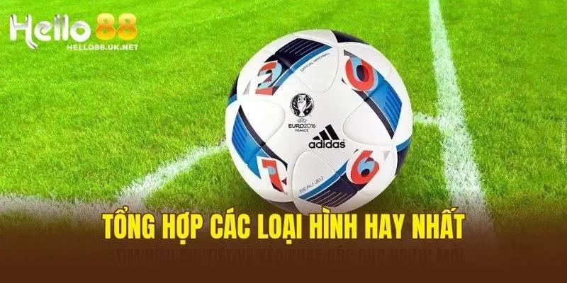Tổng hợp các loại hình hay nhất